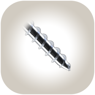 ICF Screw Point