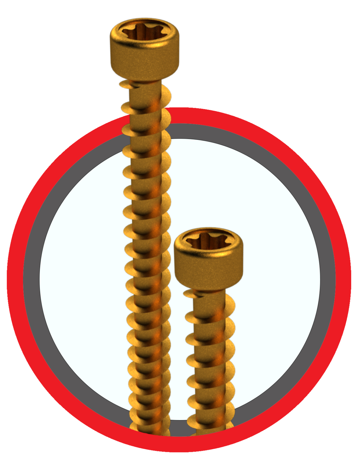 Construction Screw - U2 Fasteners